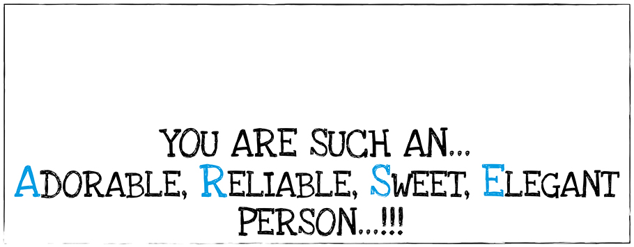 Describe You ARSE Personalised Birthday Banners