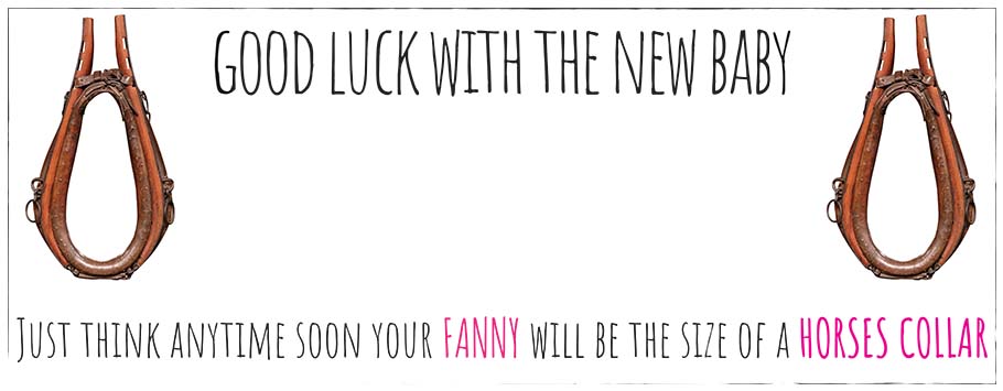 New Baby Horses Collar Personalised Baby Shower Maternity Leave Banners